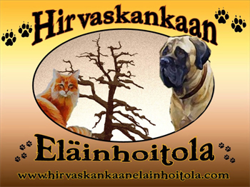 hirvaslogo.jpg